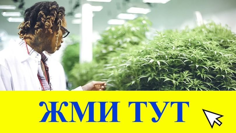 Купить наркотики в Троицке